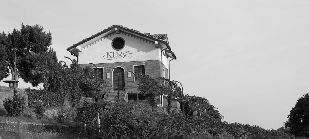 Nervi-Conterno