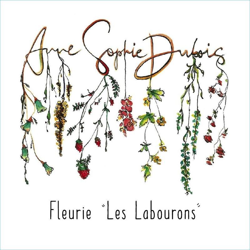 Uploaded via GraphQL script