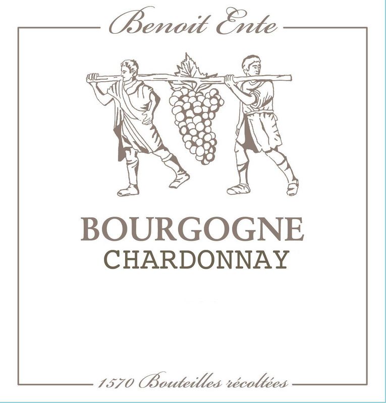Benoit Ente Bourgogne Chardonnay 2023