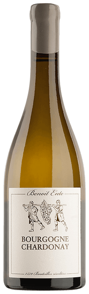 Benoit Ente Bourgogne Chardonnay 2023