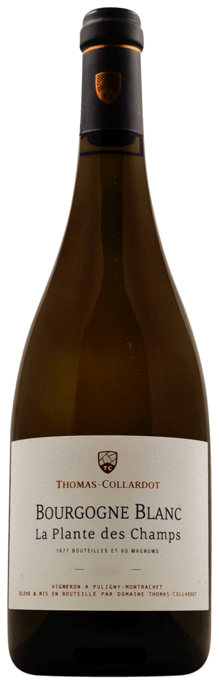 Domaine Thomas-Collardot Bourgogne Blanc &