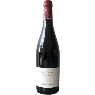 Antoine Lienhardt Bourgogne Rouge 2020-Wine-Verve Wine