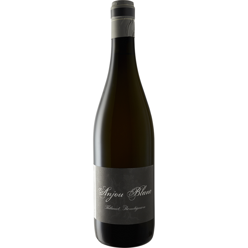 Thibaud Boudignon Anjou Blanc 2018-Wine-Verve Wine
