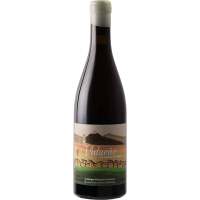 Envinate Canary Islands 'Vidueno de Santiago del Teide' 2020-Wine-Verve Wine