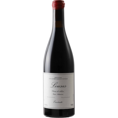 Envinate Ribeira Sacra Tinto 'Lousas - Vinas de Aldea' 2020-Wine-Verve Wine