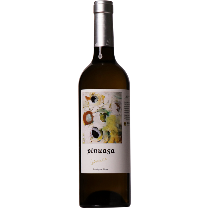 Pinuaga Vino de la Tierra de Castilla Bianco 2019-Wine-Verve Wine