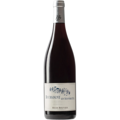 Regis Bouvier Bourgogne Rouge 'En Montre Cul' 2018-Wine-Verve Wine