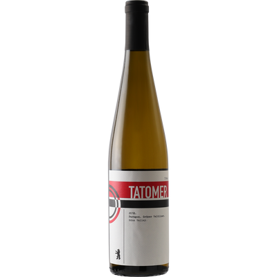 Tatomer Gruner Veltliner 'Paragon' Edna Valley 2018-Wine-Verve Wine