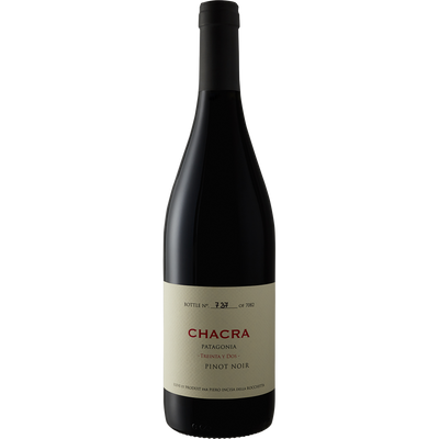Chacra Pinot Noir 'Treinta y Dos' Rio Negro 2016-Wine-Verve Wine