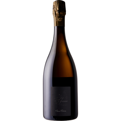 Bouchard Roses de Jeanne 'Cote de Bechalin' Blanc de Noirs Champagne 2011-Wine-Verve Wine