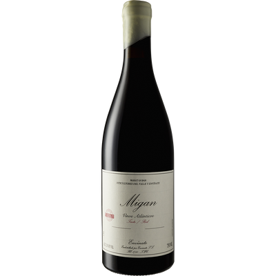 Envinate Canary Islands Tinto 'Migan' 2020-Wine-Verve Wine