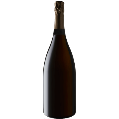 Donati Camillo Lambrusco dell'Emilia 'Il Mio' 2020-Wine-Verve Wine