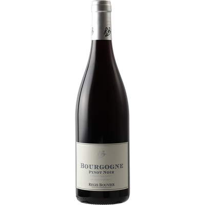 Regis Bouvier Bourgogne Rouge 2019-Wine-Verve Wine