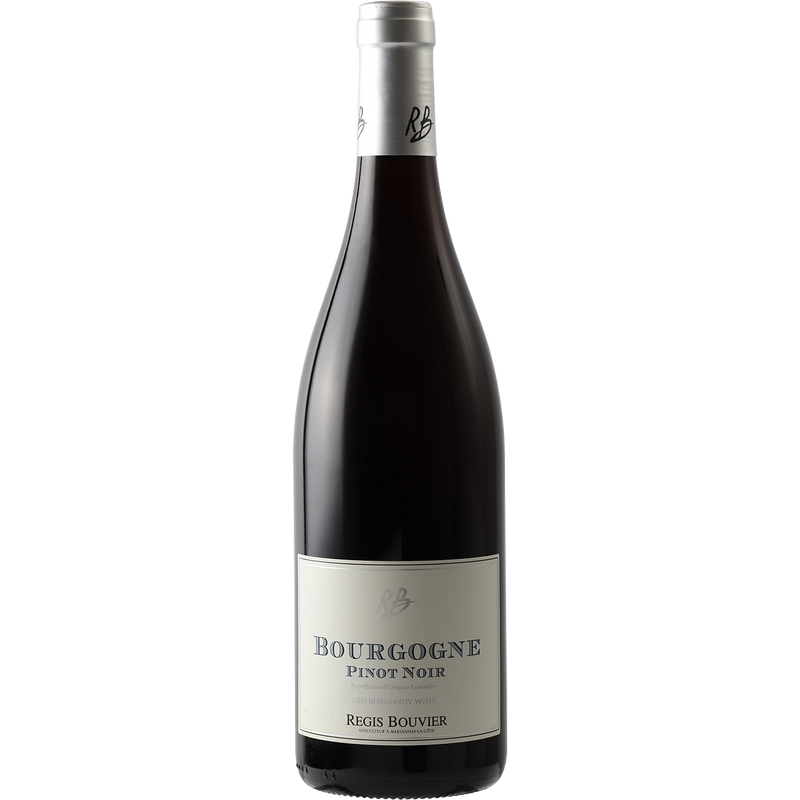 Regis Bouvier Bourgogne Rouge 2019-Wine-Verve Wine