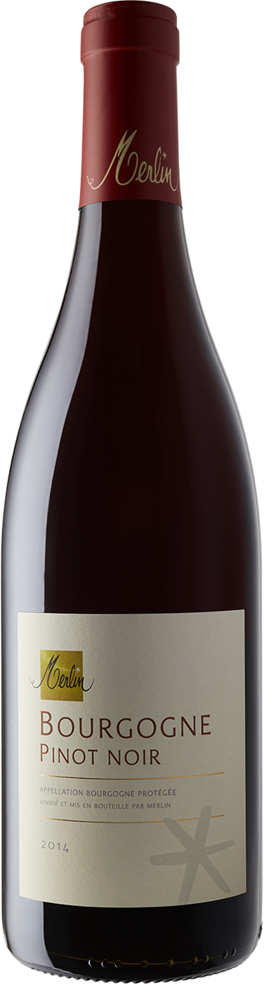 Olivier Merlin Bourgogne Rouge 2020-Wine-Verve Wine